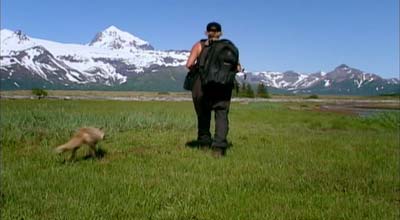 Grizzly Man image