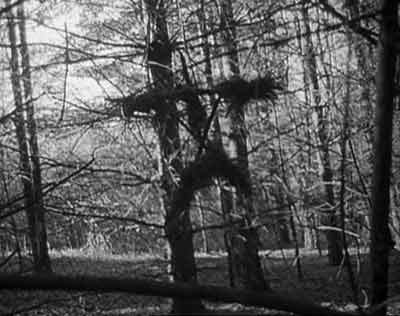 The Blair Witch Project image