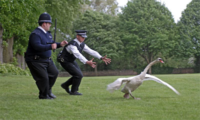 Hot Fuzz image